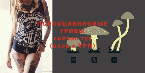 apvp Алзамай