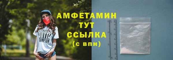 apvp Алзамай