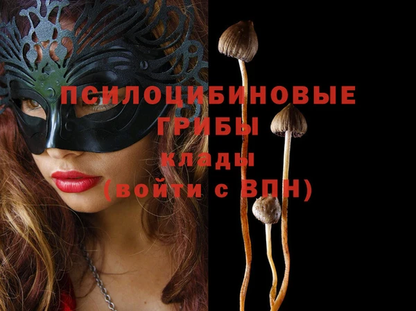 крисы Алексеевка