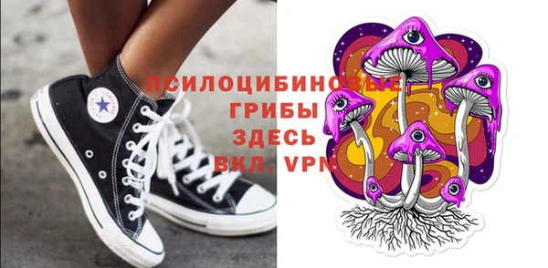 apvp Алзамай