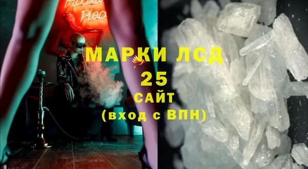 apvp Алзамай